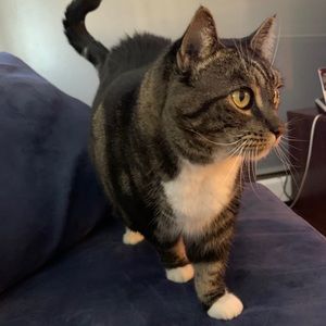 Meet your Posher, Beatriz